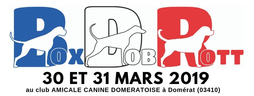 Des Gardiens D'Arae Flaviae - BoxDobRott 2019